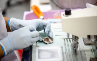 pathologist-fna