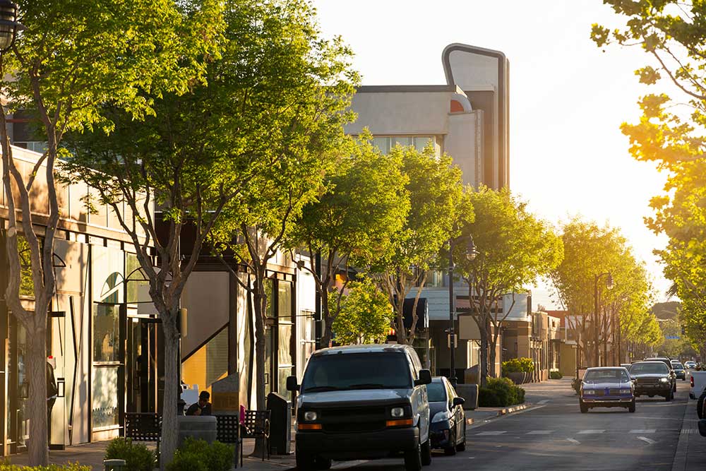 A tree-lined urban street with parked cars, storefronts, and sunlight casting long shadows in the late afternoon—just steps from a trusted FNA biopsy doctor Lancaster for compassionate care. | Cancer Biopsy & FNA Doctor in Los Angeles - Dr. Celina Nadelman