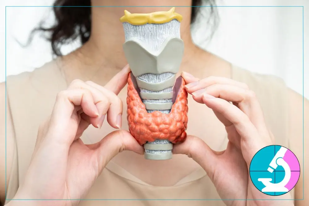 thyroid cancer despite low TIRADS score