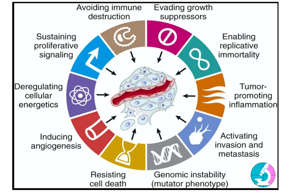 What Actually Makes Cancer, Cancer?