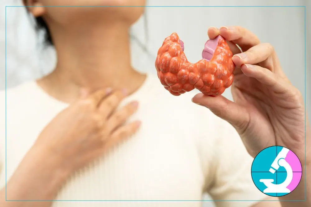 Everything to Know About a Thyroid Biopsy (1) Everything to Know About a Thyroid Biopsy