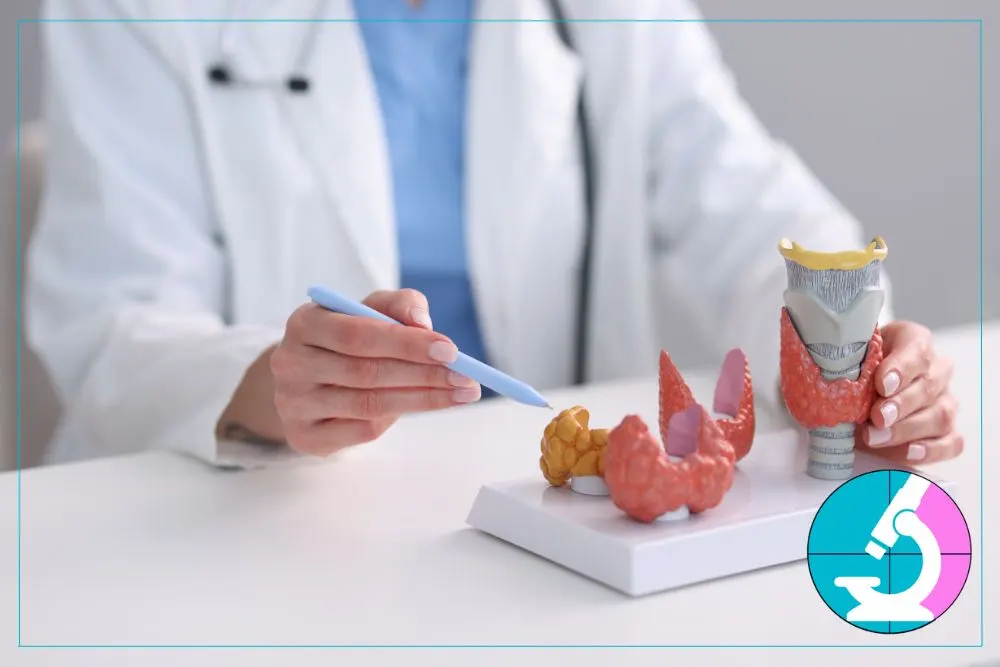 Everything to Know About a Thyroid Biopsy (3) Everything to Know About a Thyroid Biopsy